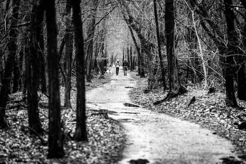 Sulle sponde del Ticino 06