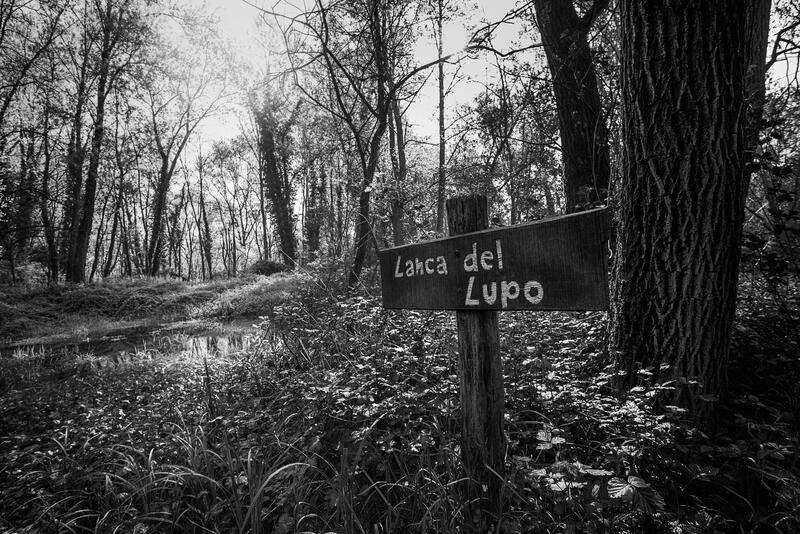 Sulle sponde del Ticino 05