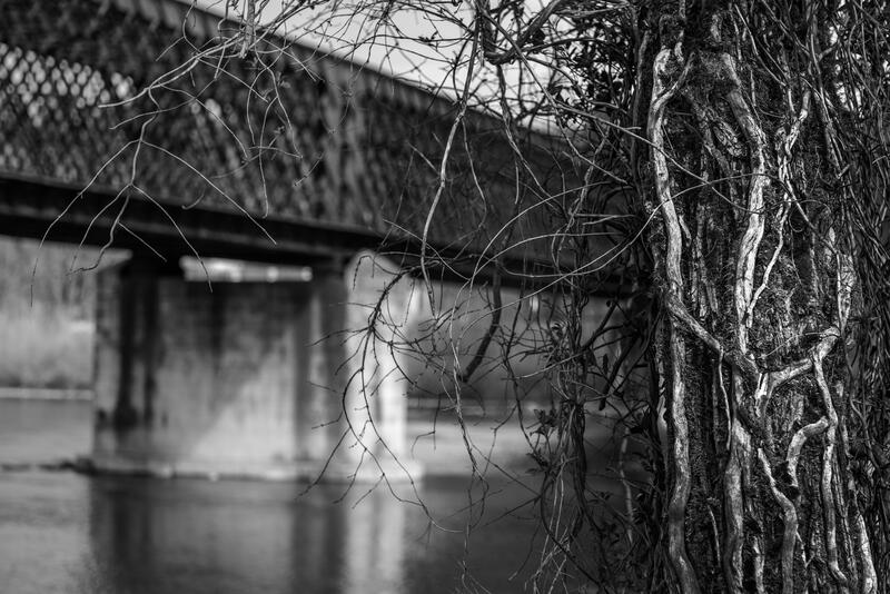 Sulle sponde del Ticino 04